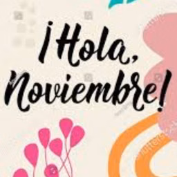 NOVIEMBRE