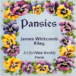 Pansies