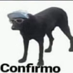 Holahd