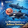 Episodio 9 - Temporada 2026 - Menopausia en las ballenas dentadas