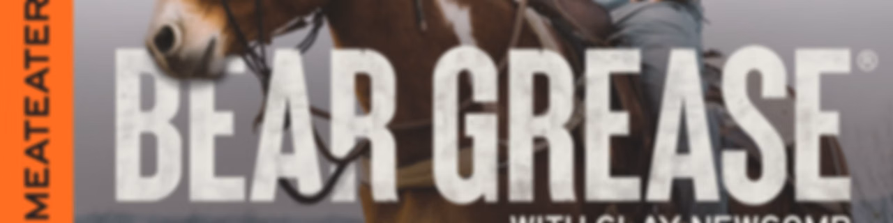 Bear Grease