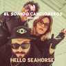Hello Seahorse! | El Sonido: Cancioneros — 20 años de música alternativa y Montaña, su nuevo álbum