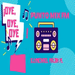 PUNTO MIX FM