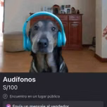 RADIO INSANA