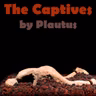 Act 5