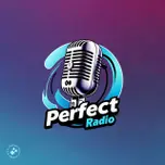 PERFECT RADIO UG