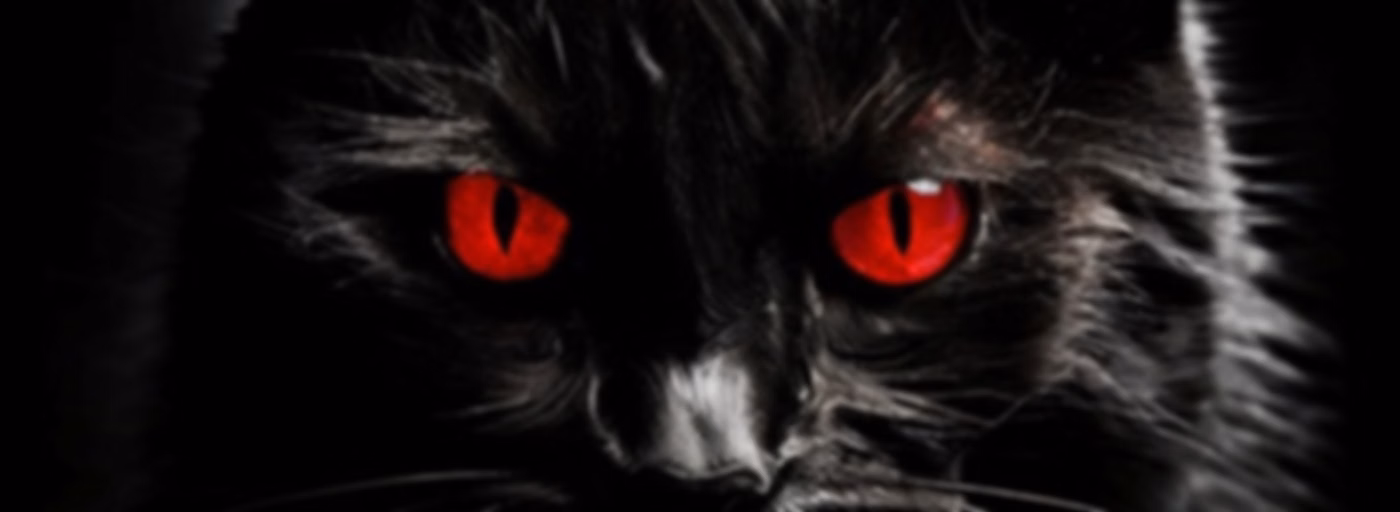 Relatos de Terror del Gato