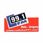 99.1 FM