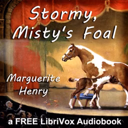Stormy, Misty's Foal