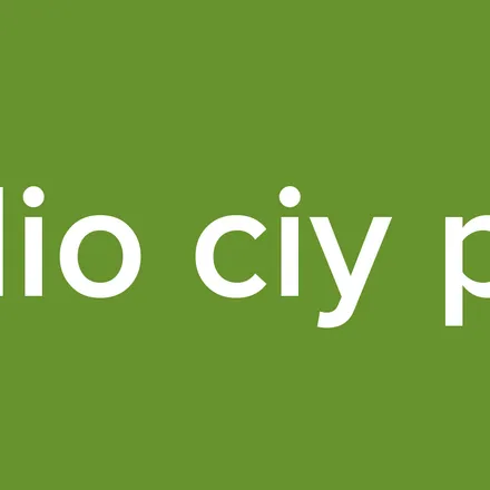 radio ciy pun