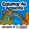 (Reposición) Calamar de Arrecife: El lenguaje de los colores