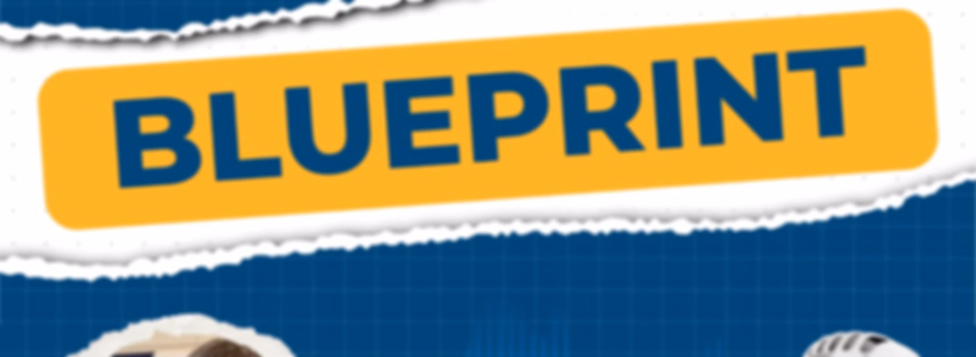 Beyond the Blueprint