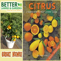 S2 Ep459: Better Lawns and Gardens - Hour 2 Citrus: A Gardeners' & Fruit Lovers' Guide June 20, 2026