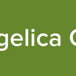 Radio Evangelica Cristo Viene