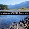 Calm Flowing Stream Sounds - 10 Hours for Sleep, Meditation, & Relaxation