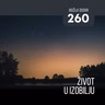 260 BD - Život u izobilju