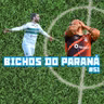 Bichos do Paraná #51 - Coritiba assume a liderança da Série B e Athletico volta de Quito com derrota pela Sul-Americana