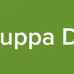 Gruppa DlB