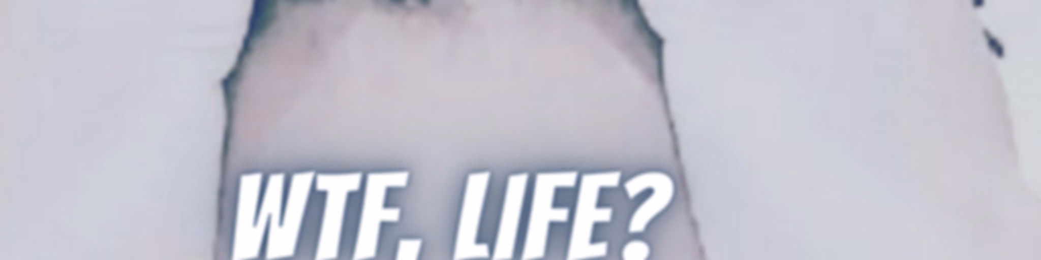 WTF, Life?