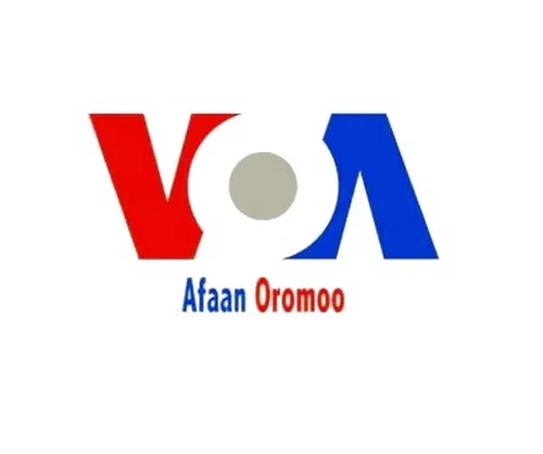 Listen to VOA Afaan Oromo CA | Zeno.FM