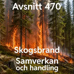 470. Skogsbrand, samverkan- och handlingsprincipen