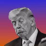 What Next - Dems Can Beat MAGA. Here’s How.