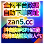 全网平台涨数据工具站 如何利用抖音千川投流实现精准增长，提升销售和品牌曝光？