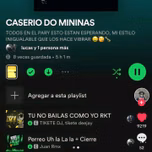 rkt al palo