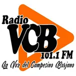 RADIO LA VOZ DEL CAMPESINO BORJANO 101.1 FM