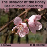 Behavior of the Honey Bee in Pollen Collecting, The by D. B. Casteel (1877 - 1958)