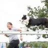 Peggy Sue, the veteran agility dog and an overview of agility as a sport