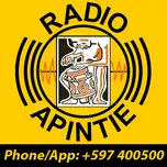 Apintie Radio