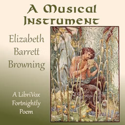 Musical Instrument