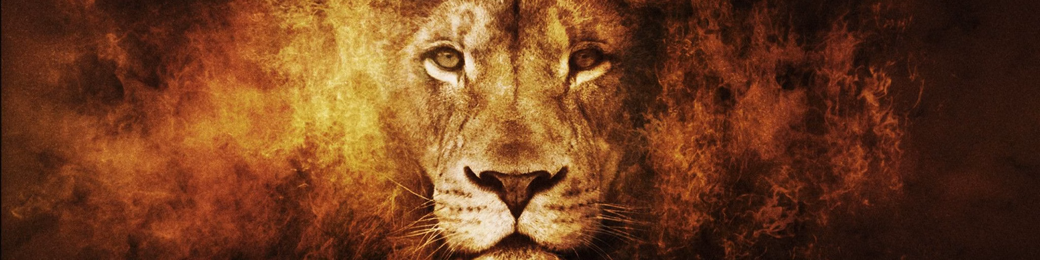 LionOfJuda
