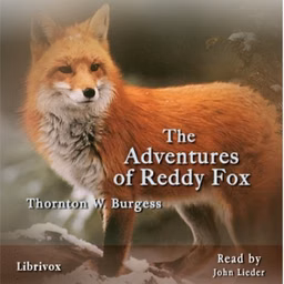 Adventures of Reddy Fox, The by Thornton W. Burgess (1874 - 1965)