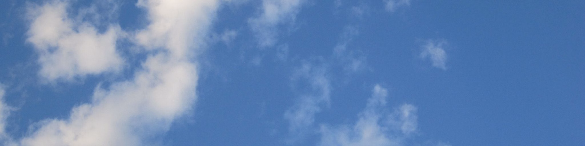 CWTZW66