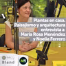 Todo lo que tenés que saber de plantas para tu casa