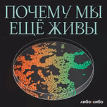 Почему мы еще живы