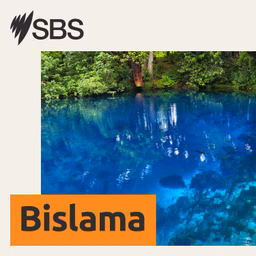 SBS Bislama