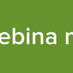 radio bebina mundial