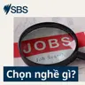 Làm việc tại NGO: Công việc thực tế, ngành học và kỹ năng cần có