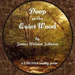 Deep In The Quiet Wood