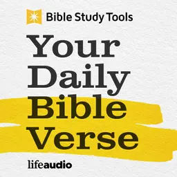 Healing the Shame Beneath Relational Conflict (Proverbs 20:3)