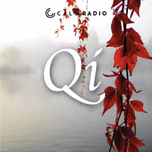 QI