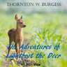 <p> The Great Fight </p> <p> An Unseen Watcher </p> <p> Lighfoot Discovers Love </p> <p> Happy Days in the Green Forest </p>
