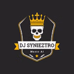Remixes by DJ Synieztro
