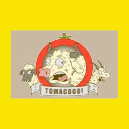 Tomacco