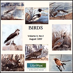 Birds, Vol. II, No 2, August 1897 by Various