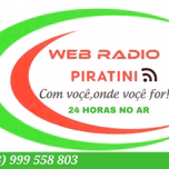 Web radio piratini