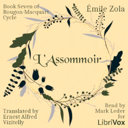 L'Assommoir, Book Seven of Rougon-Macquart Cycle by Émile Zola (1840 - 1902)